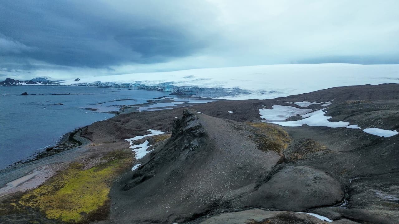 Imagem aérea registrada em Cape Shirreff, Ilha Livingston, Antártica Marítima
